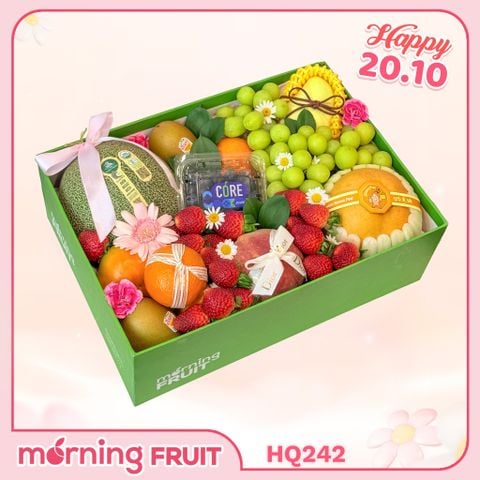  Hộp quà trái cây HQ242 