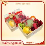  Hộp quà trái cây HQ267 