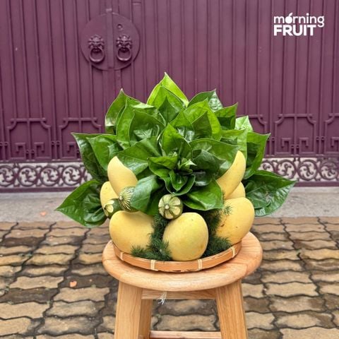  Mâm Ngũ Quả Vu Lan 061 