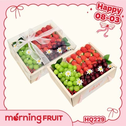  Hộp quà trái cây HQ229 