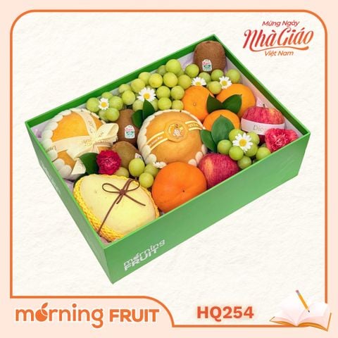  Hộp quà trái cây HQ254 
