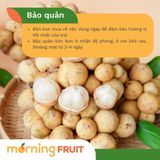  Bòn Bon Việt Nam 