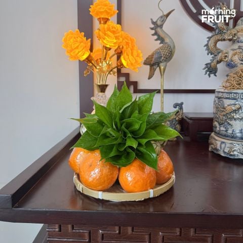  Mâm Ngũ Quả Vu Lan 053 