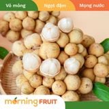 Bòn Bon Việt Nam 