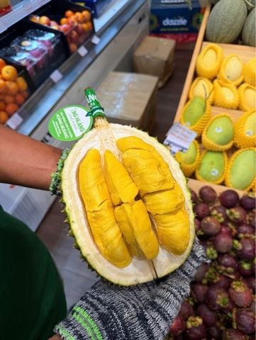  Sầu riêng Musang King ông Hoàng Organic size thường (Tem Xanh) 