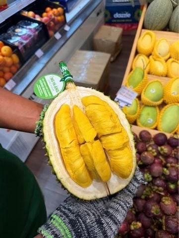  Sầu riêng Musang King ông Hoàng Organic (Tem Vàng) 