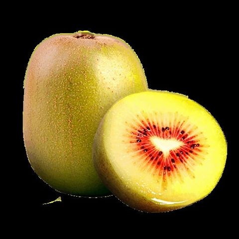  Kiwi đỏ New Zealand 