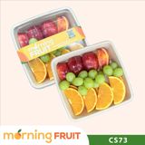  Trái cây cắt sẵn CS73 