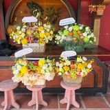  Giỏ trái cây Tường Viên TV29 
