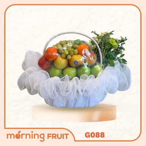  Giỏ trái cây G088 