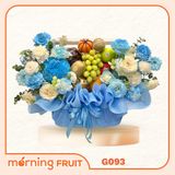  Giỏ trái cây quà tặng G093 