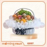  Giỏ trái cây quà tặng G097 