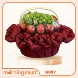  Giỏ trái cây quà tặng G097 