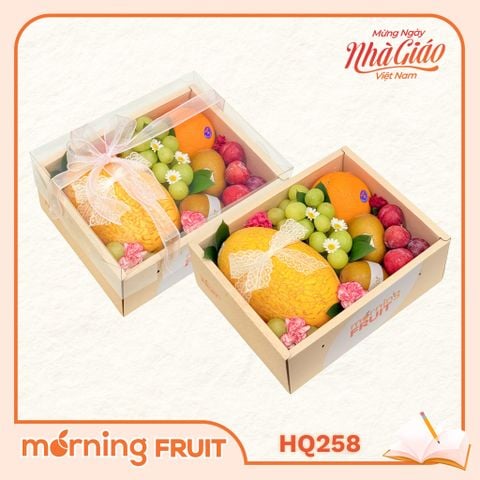  Hộp quà trái cây HQ258 
