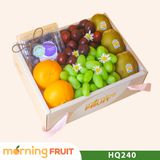 Hộp quà trái cây HQ240 