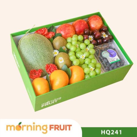  Hộp quà trái cây HQ241 
