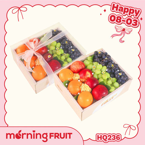  Hộp quà trái cây HQ236 
