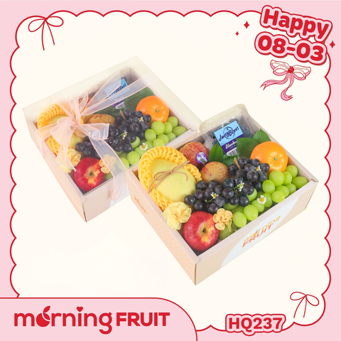  Hộp quà trái cây HQ237 