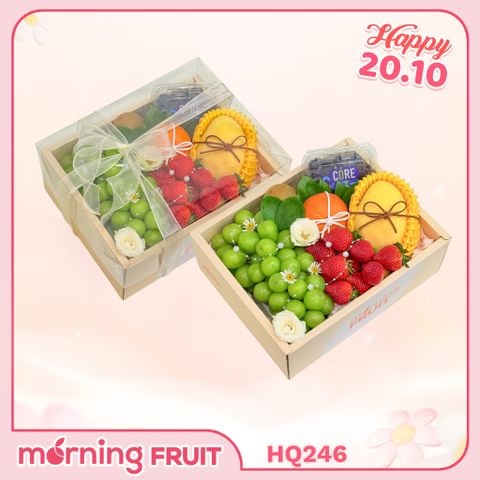 Hộp quà trái cây HQ246 