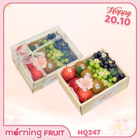  Hộp quà trái cây HQ247 