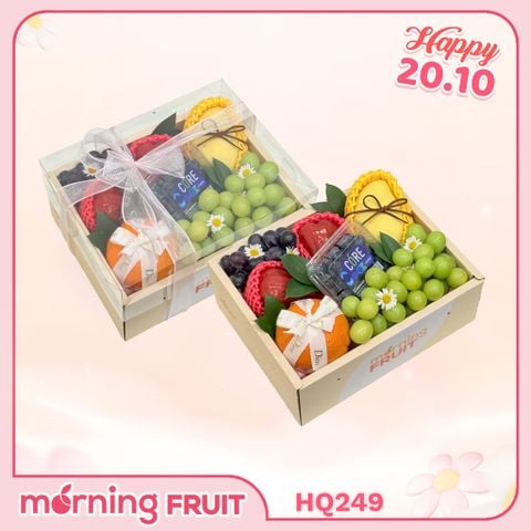  Hộp quà trái cây HQ249 