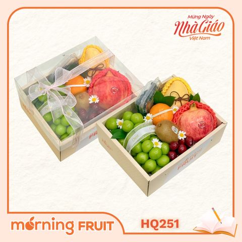  Hộp quà trái cây HQ251 