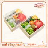  Hộp quà trái cây HQ251 