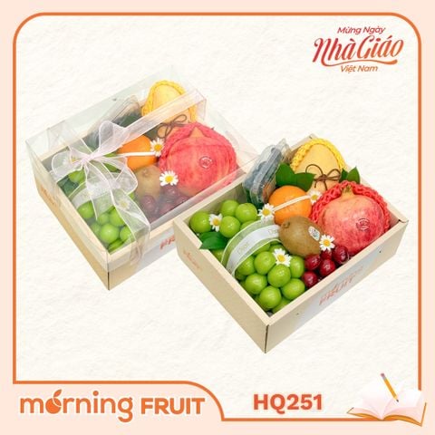  Hộp quà trái cây HQ251 