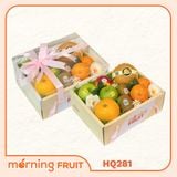  Hộp quà trái cây HQ281 