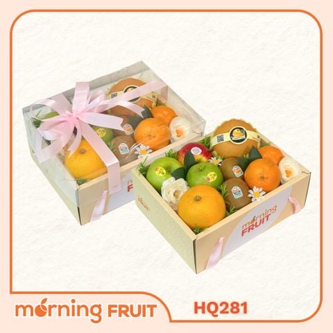  Hộp quà trái cây HQ281 