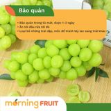  Nho mẫu đơn Mộc Châu 