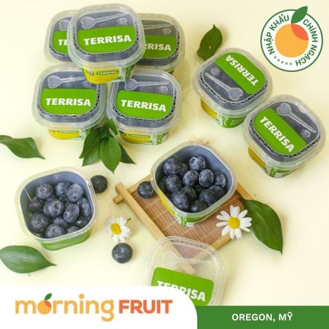  Việt quất Mỹ Hộp 55G 