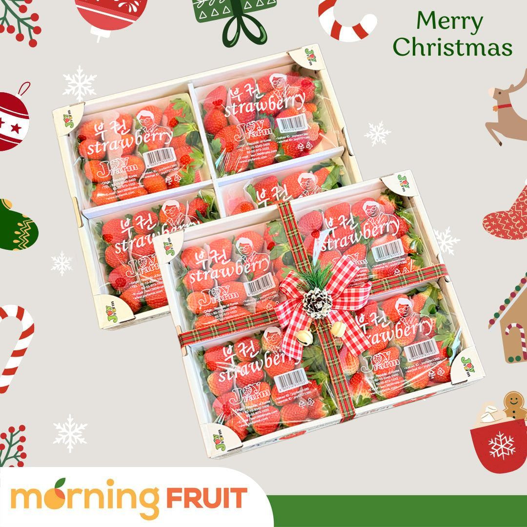  Hộp quà trái cây Dâu Hàn Quốc JoyFarm Noel HQ263 