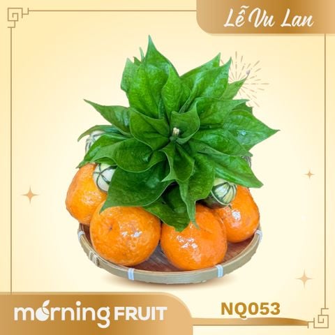  Mâm Ngũ Quả Vu Lan 053 