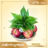  Mâm Ngũ Quả Vu Lan 055 