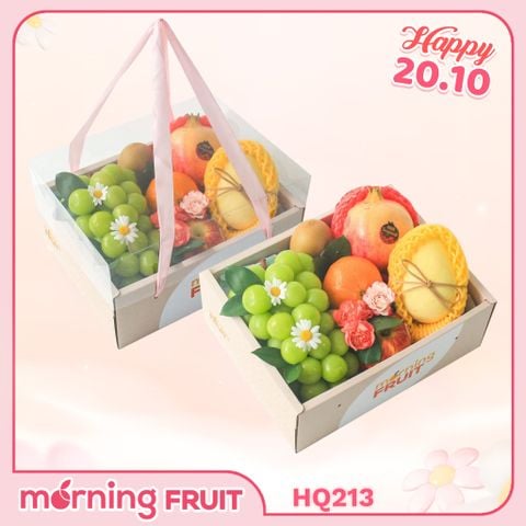  Hộp quà trái cây HQ213 