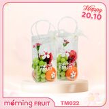  Túi quà nhỏ TM022 