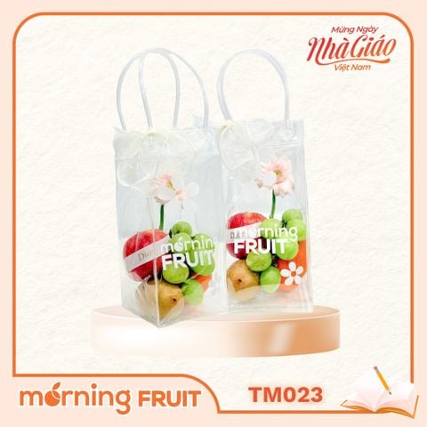  Túi quà nhỏ TM023 