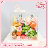  Hộp quà Vali trái cây V011 