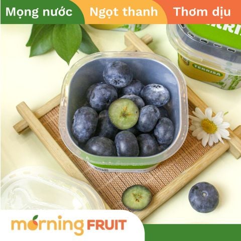  Việt quất Mỹ Hộp 55G 