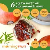  Lựu Huyết Rồng Nội Địa Trung 