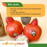  Lựu Huyết Rồng Nội Địa Trung 