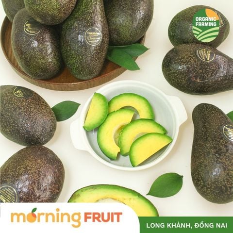  Bơ ông Hoàng Long Khánh Organic size Supper VIP 