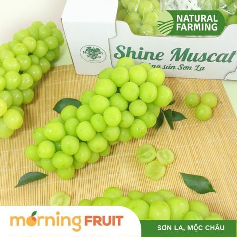  Nho mẫu đơn Mộc Châu 