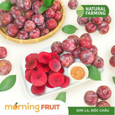  Mận hậu Mộc Châu Punhi 