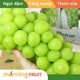  Nho mẫu đơn Mộc Châu 