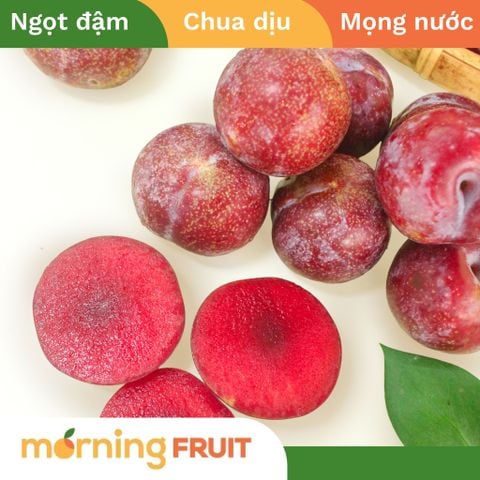  Mận hậu Mộc Châu Punhi 