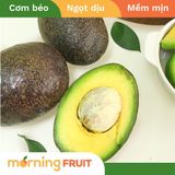  Bơ ông Hoàng Long Khánh Organic size Supper VIP 