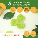  Nho mẫu đơn Mộc Châu 