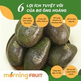  Bơ ông Hoàng Long Khánh Organic size Supper VIP 